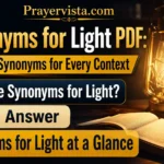 Synonyms for Light PDF