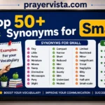 Synonyms for Small Examples